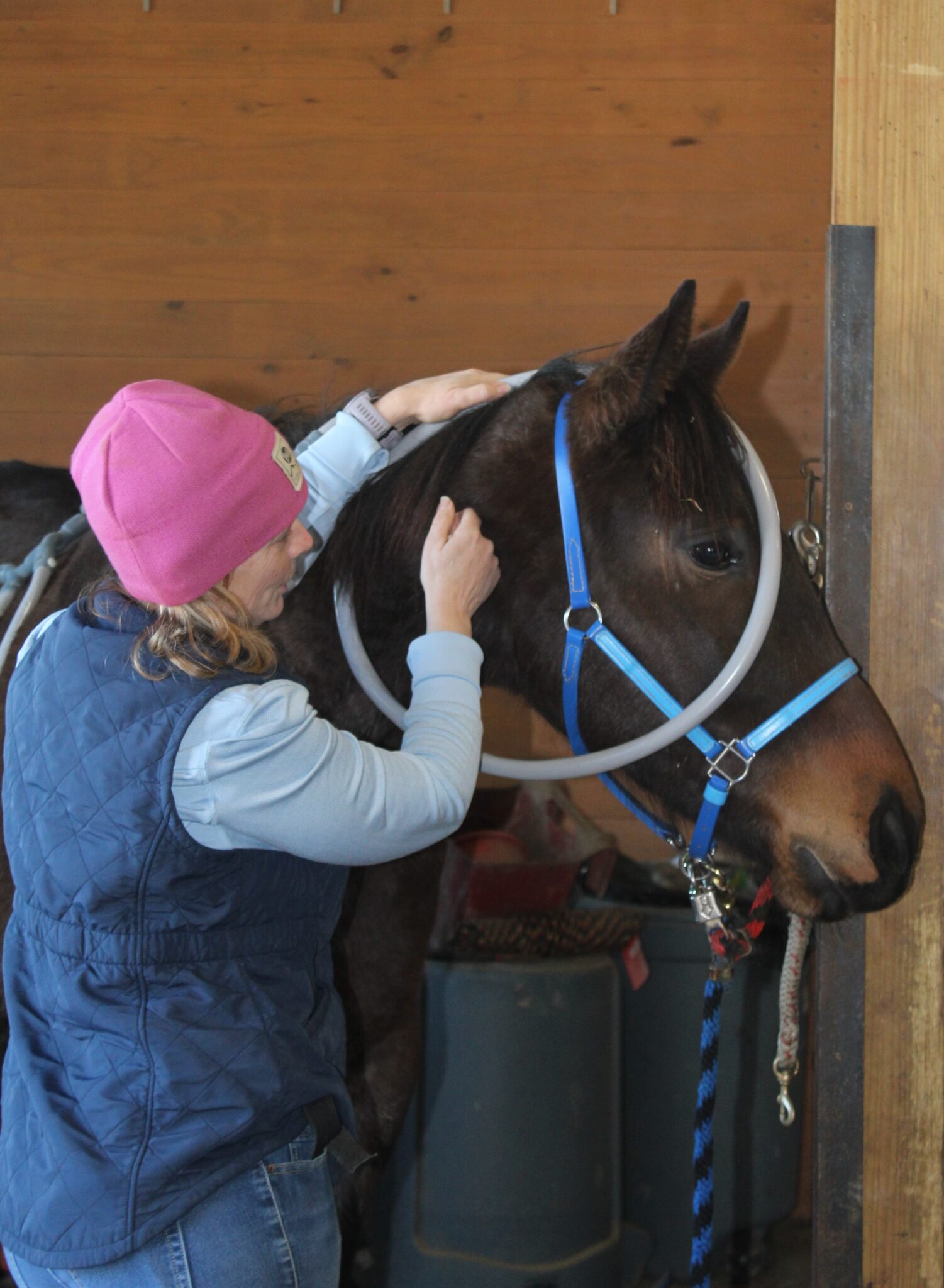 Introducing Pulse Therapy for your Pets! Licking