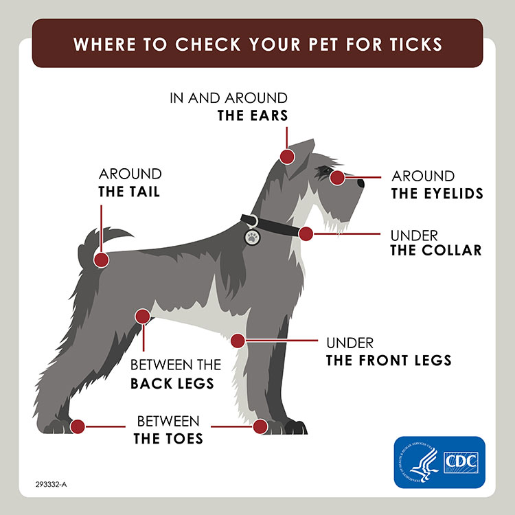 https://www.cdc.gov/healthypets/publications/check-pet-for-ticks.html