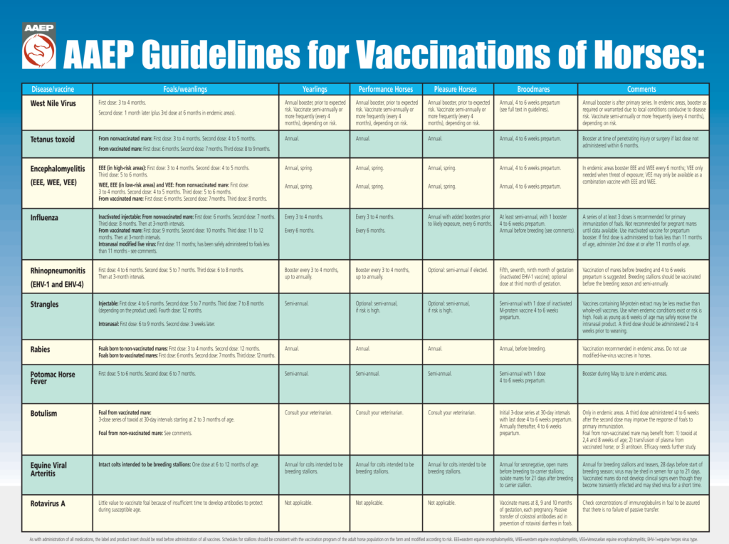 https://aaep.org/guidelines/vaccination-guidelines